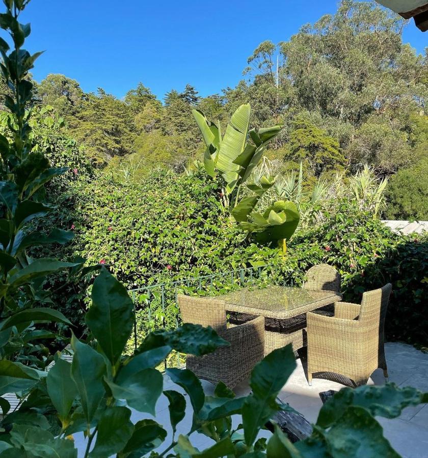 Casa Holstein Quinta De Sao Sebastiao Sintra Hotel Exterior foto